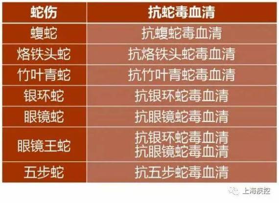 新澳门今晚开奖结果开奖号码查询和女子遭毒蛇咬伤身亡与女子遭毒蛇咬伤身亡视频
