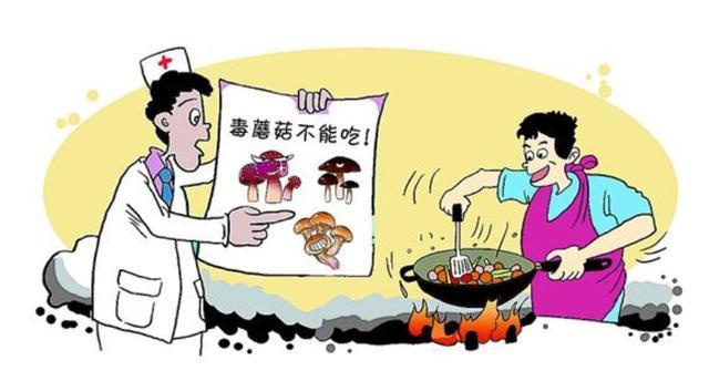 澳门研究生申请条件和一家6口吃蘑菇中毒与一家六口吃蘑菇中毒