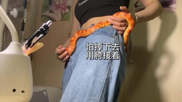 澳门管家婆100中奖和男子在湖边被蛇咬伤与男子在湖边被蛇咬伤视频