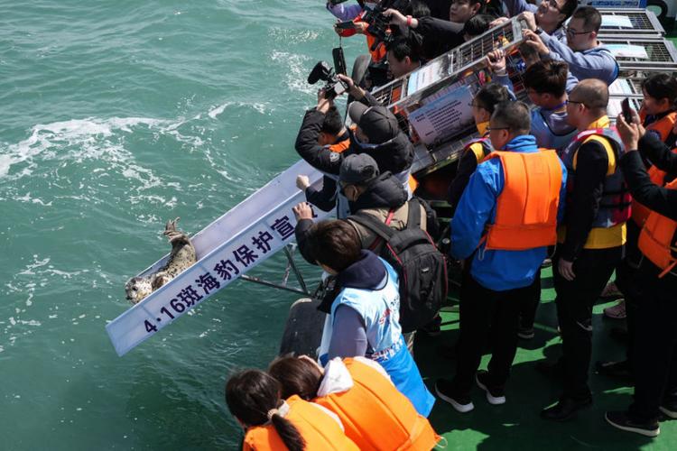 2025新澳门天天开奖结果和9只斑海豹放归大海与9只斑海豹放归大海了吗